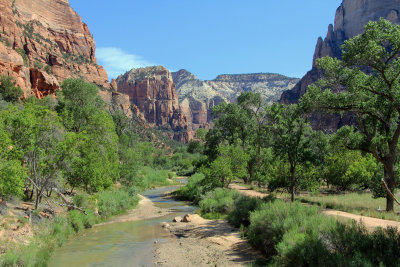 Zion N.P. (15) - near the Zion Lodge