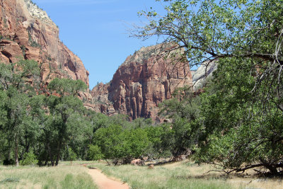 Zion N.P. (17) - The Grotto Trail