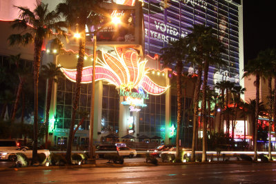 Las Vegas by night (3)