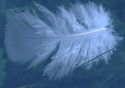Feather of Dreams..