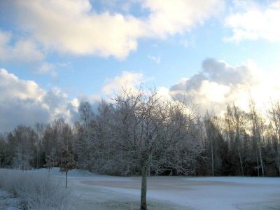 First Snow in Helsinki