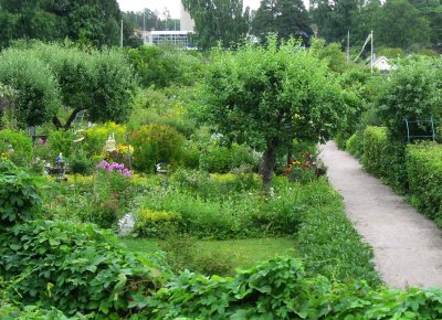 Allotment Garden - A little Paradise
