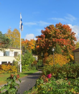 Sunny October Day!