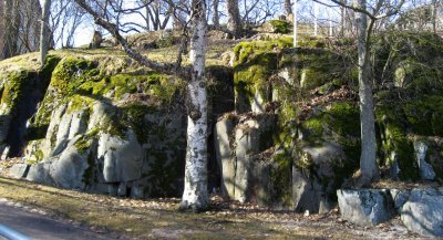Moss-grown Rock