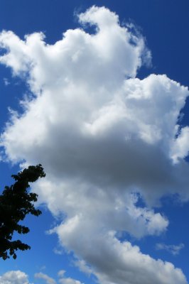 Clouds in June