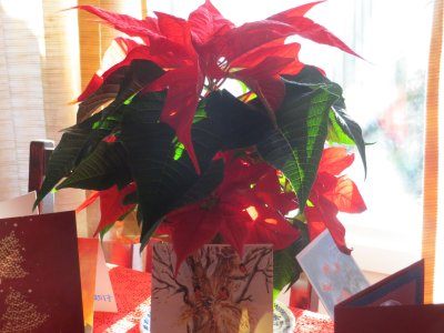 Christmas Memories