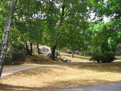 The Hakasalmi Park..