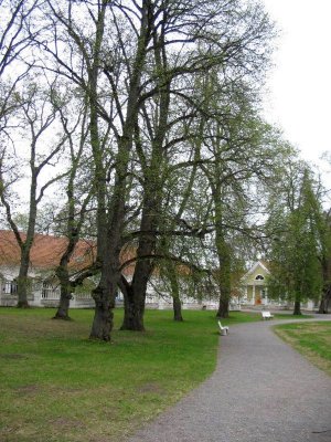 The park, Palmse Manor