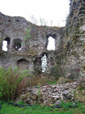 The ruins of Vasknarva Castle