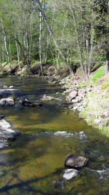 Langinkoski,  River Bank