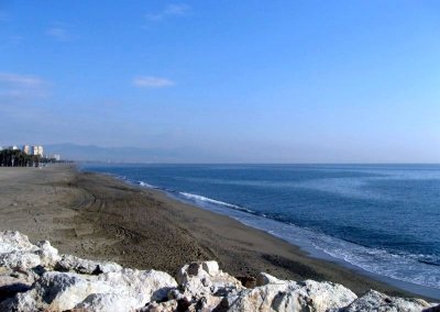 The Sea and the Beach