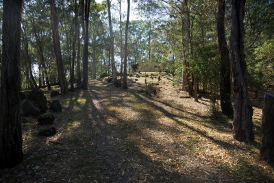 DSC02786er.JPG