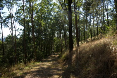 DSC02790er.JPG