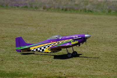 DSC04106r.JPG