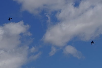 DSC04187r.JPG