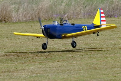 DSC04199r.JPG