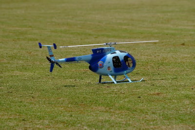 DSC04202r.JPG