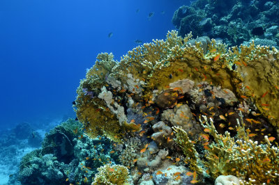 g9/64/708464/3/155567776.uvfslgvo.jpg