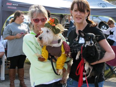 ASTRA Scarecrow Toto Susan Friend 1393800.jpg