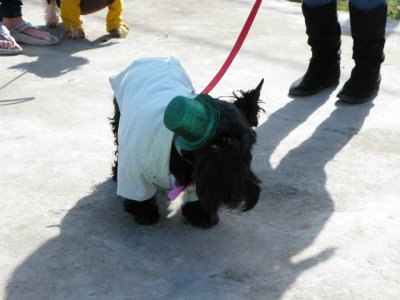 ASTRA Wizard of OZ Susan Friend 145831.jpg