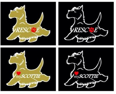 ASTRAs decals ASTRA 1385748.jpg