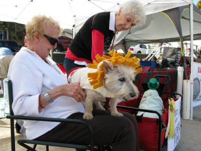 ASTRAS Lion Susan Friend 1390566.jpg