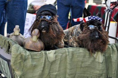 Duck Dynasty Lisa M Mann 1426735.jpg
