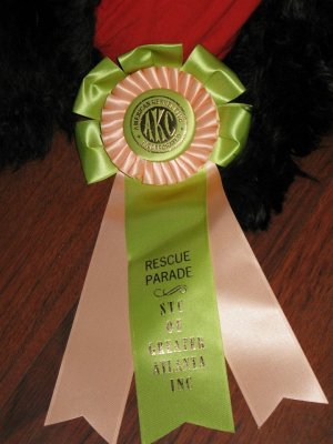 Fala Day Rescue Rosette Susan Friend 1392026.jpg