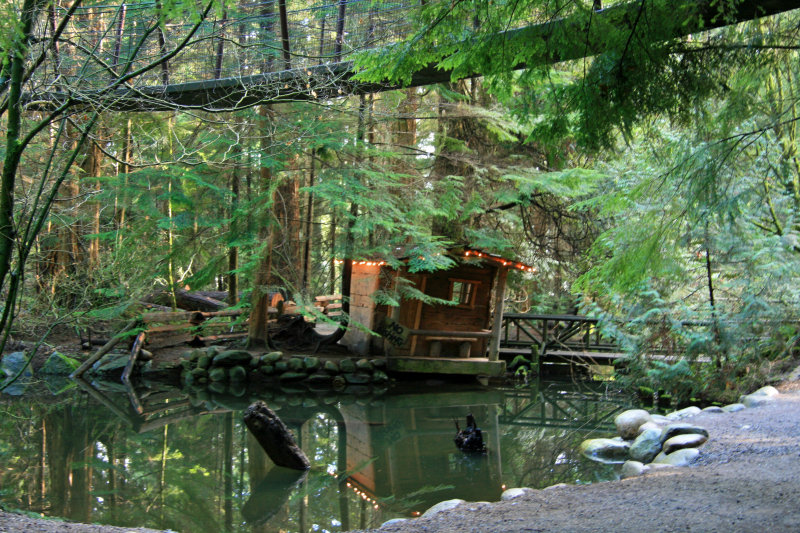 wood shack.jpg
