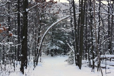 Prospect Mountain, Binghamton NY
