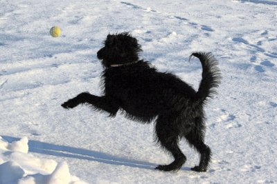 Love that ball!