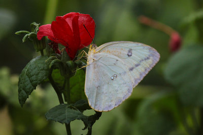 g9/64/788864/3/151139517.zLF338xj.jpg