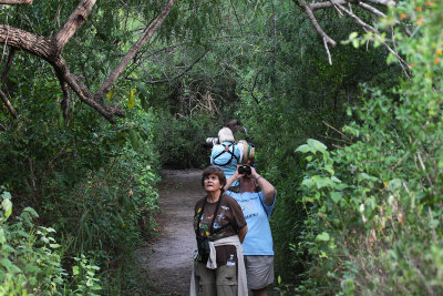 The Intrepid Birders