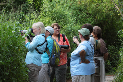 The Intrepid Birders and friends