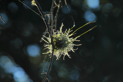 g9/64/788864/3/152486982.RBCWA9GG.jpg