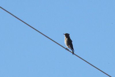 g9/64/788864/3/154014886.bRWti4ON.jpg