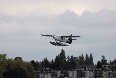 Harbour Air taking off