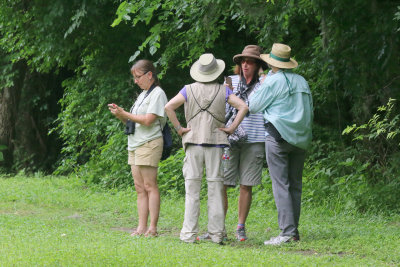 Birders