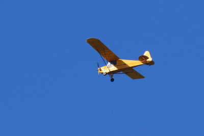 Flying Lawnmower