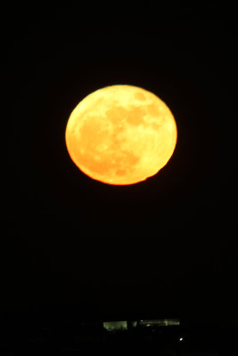 Super Moon 11/14/2016