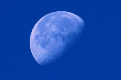 Moon Waning Gibbous