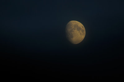 Yellow moon / Gul måne