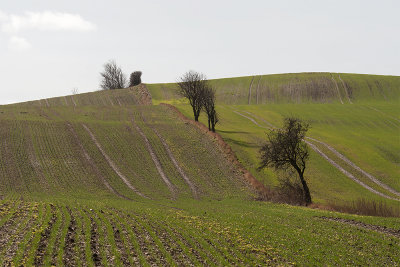 Early spring / Tidlig forr