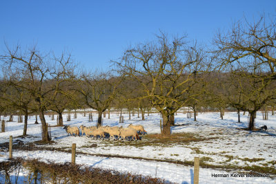 1-DSC_9111.JPG