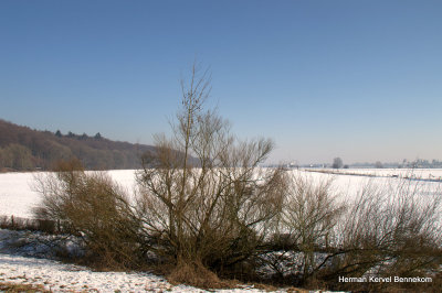 1-DSC_9130.jpg