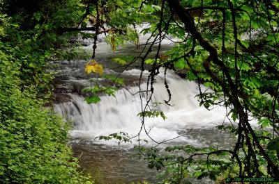 Springfield Mill Race Water Fall