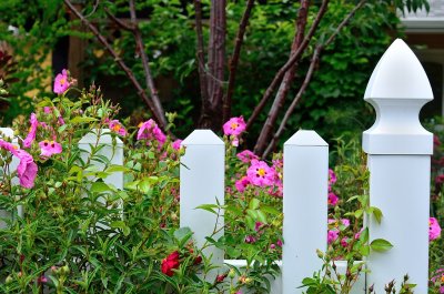 Happy Fence Friday