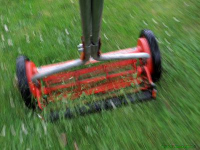 Mowing really fast with a reel mower