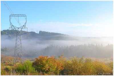 Foggy morning