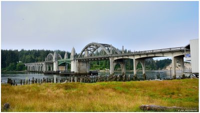 View of the Siuslaw River Bridge